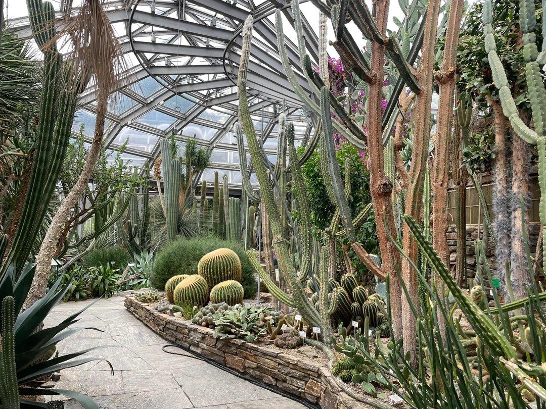 선인장 및 다육식물 온실