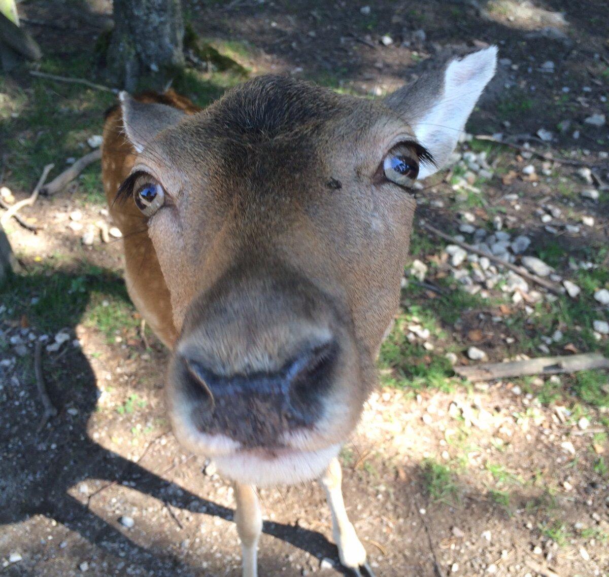 🐾 린덴탈 동물원(린덴탈러 티어파르크)