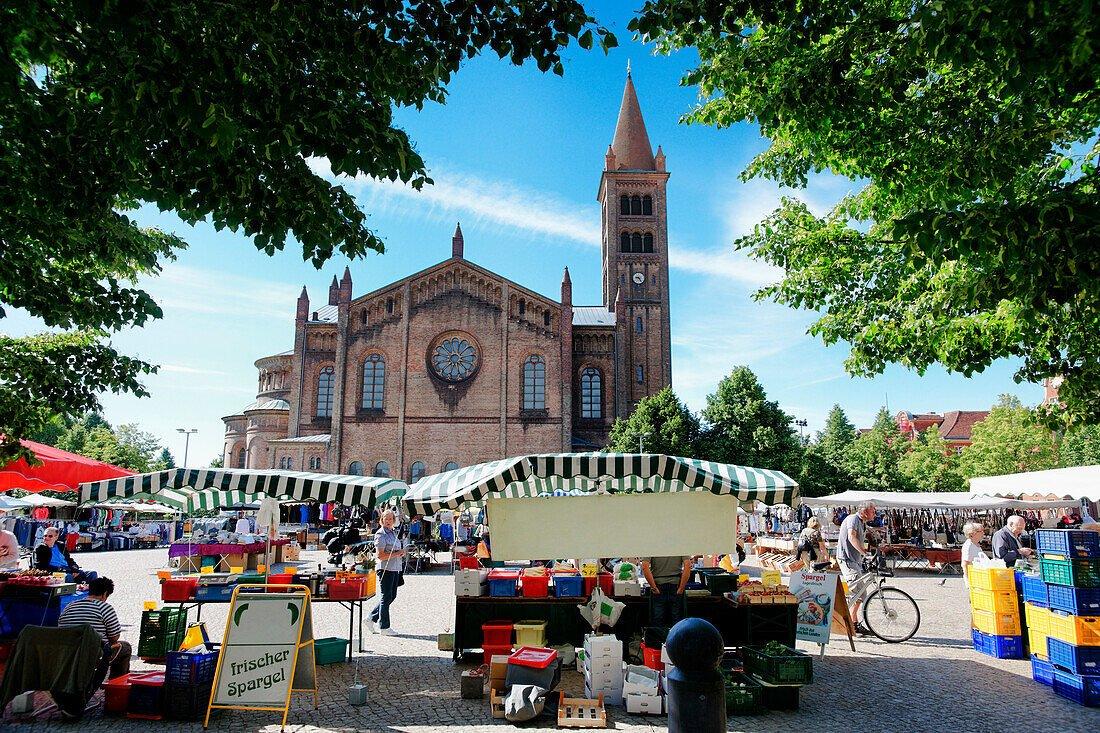주간 시장의 활기찬 모습