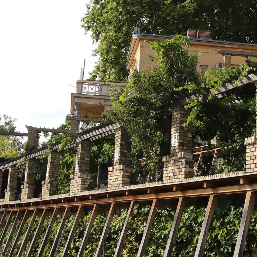 빈처베르크 열린 기념물의 날