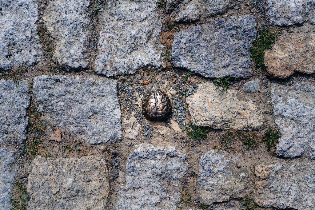 3초 청동 뇌 조형물과 탑 배경