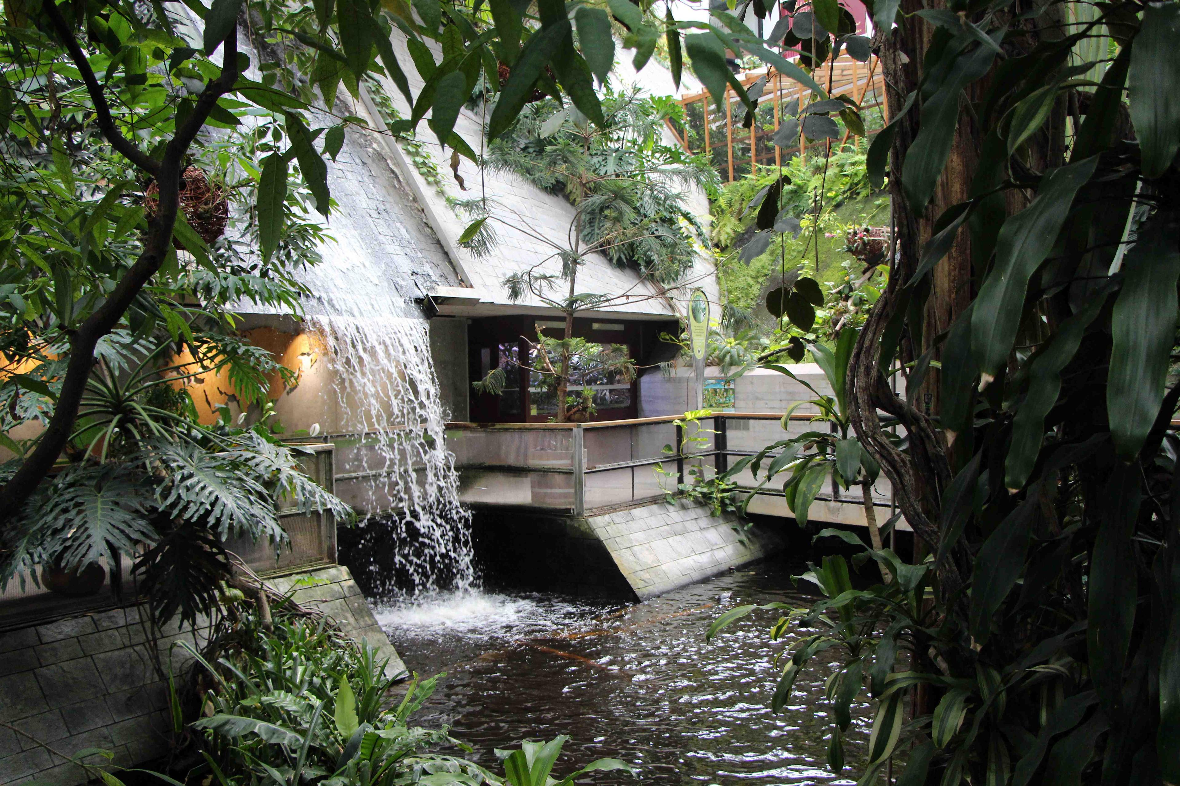 인공 폭포 주변