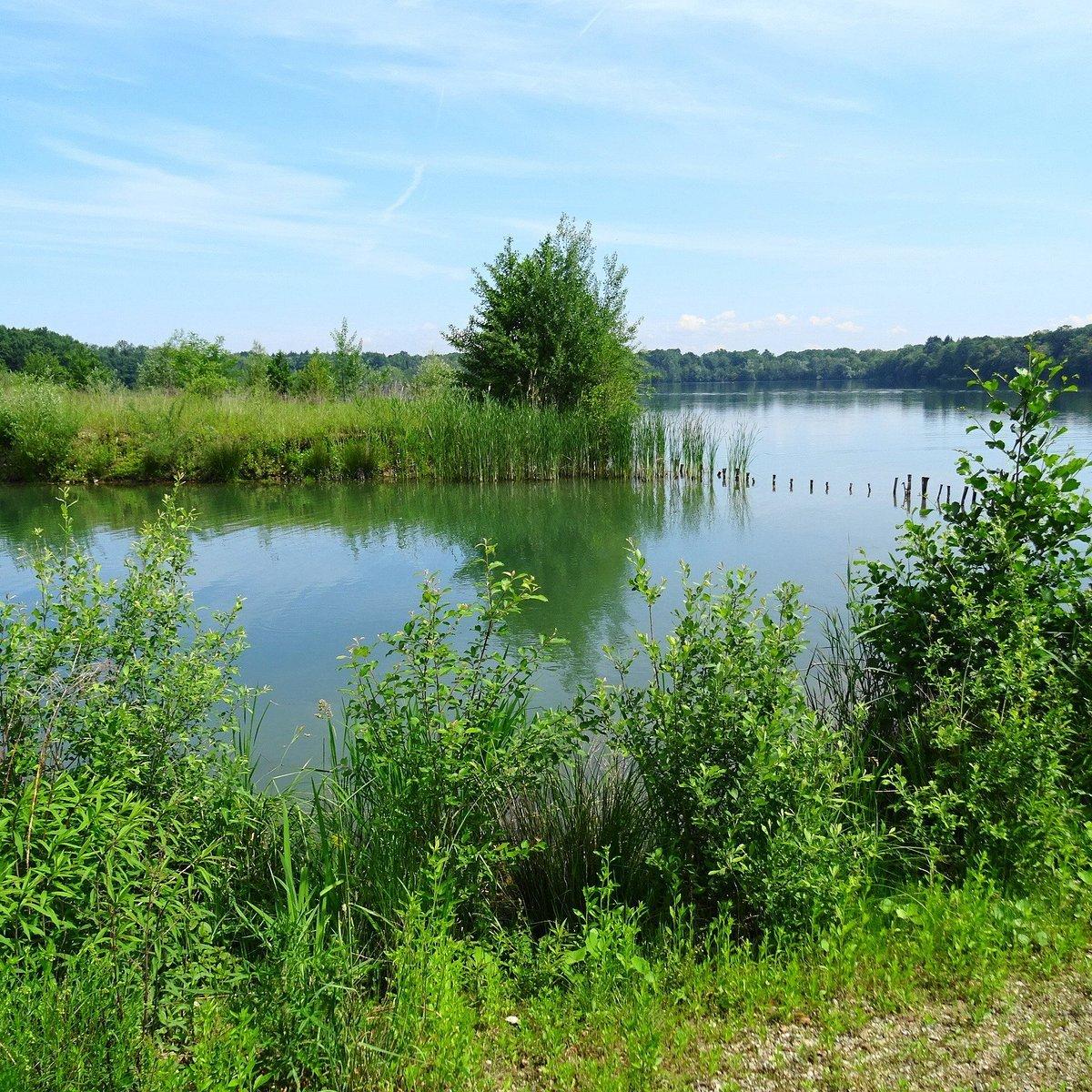 호수 전망이 좋은 잔디밭