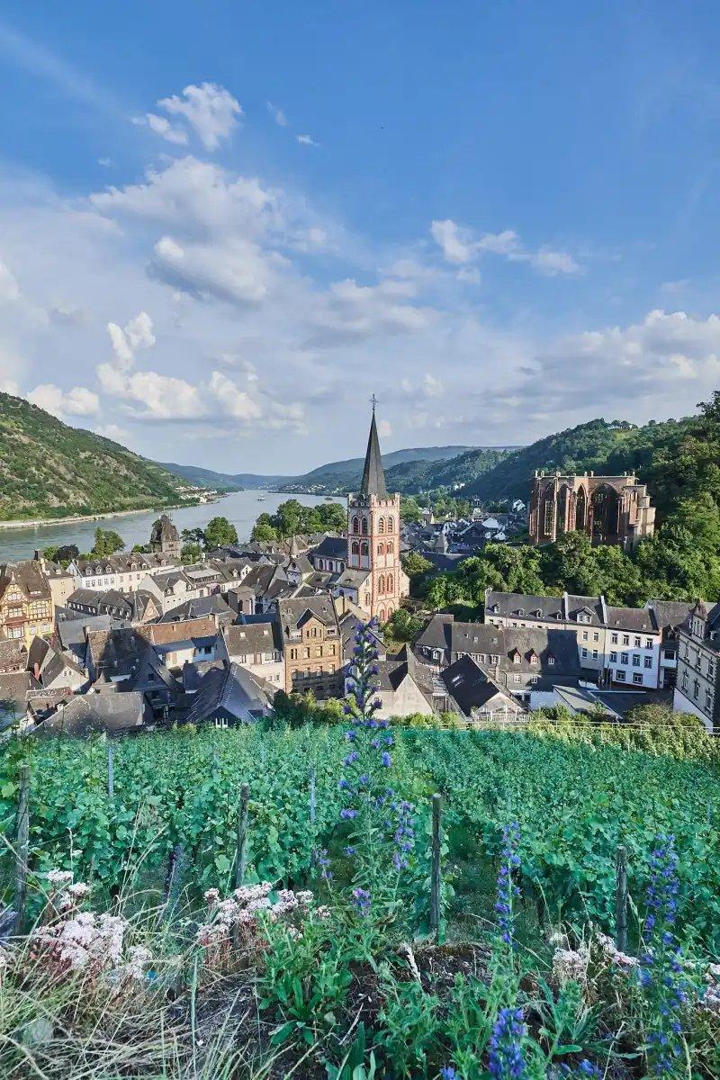 젤베커 바흐와 어우러진 주택 풍경