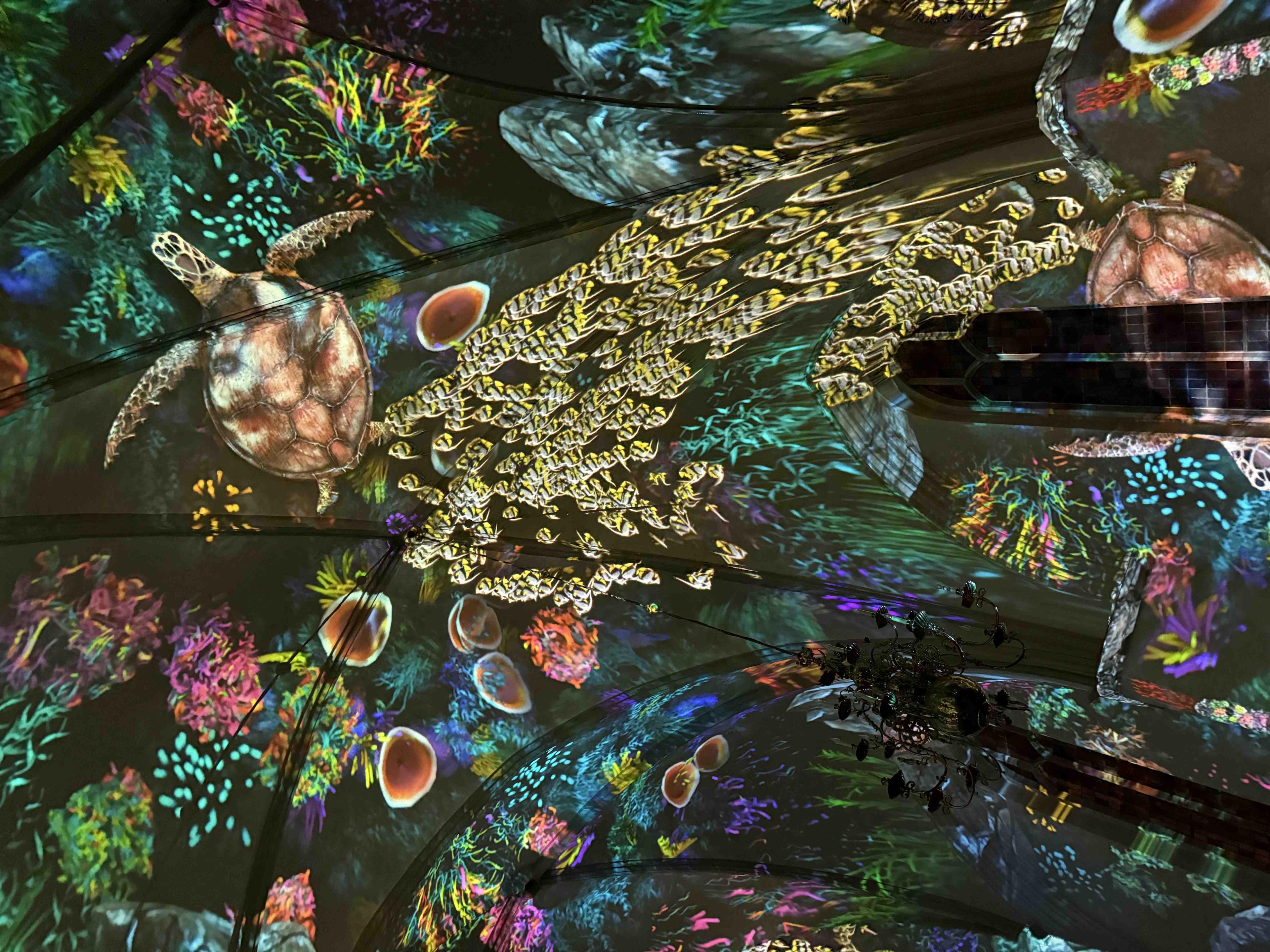 성십자 교회 제네시스 라이트 쇼