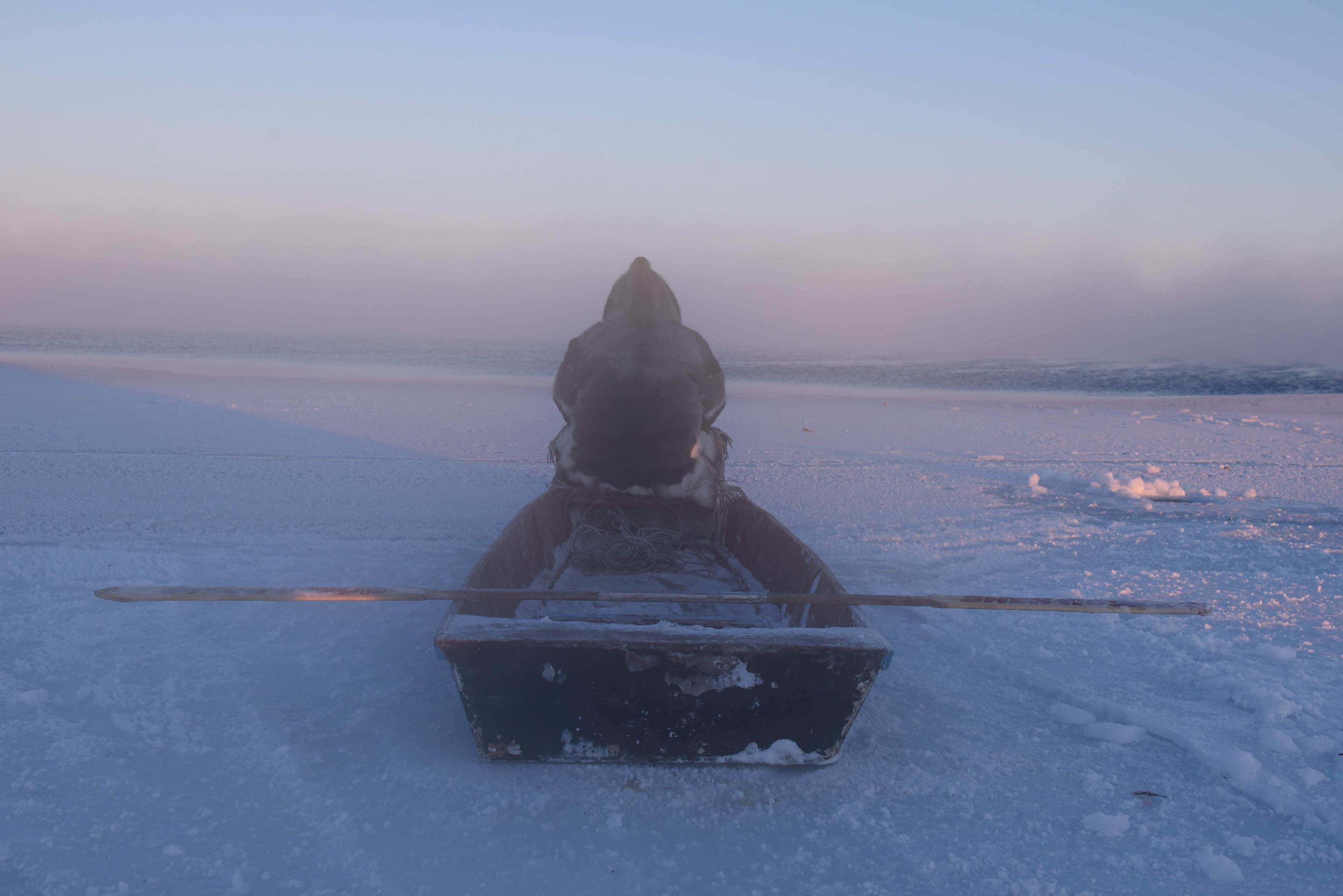 요아르 낭고 작품 이미지