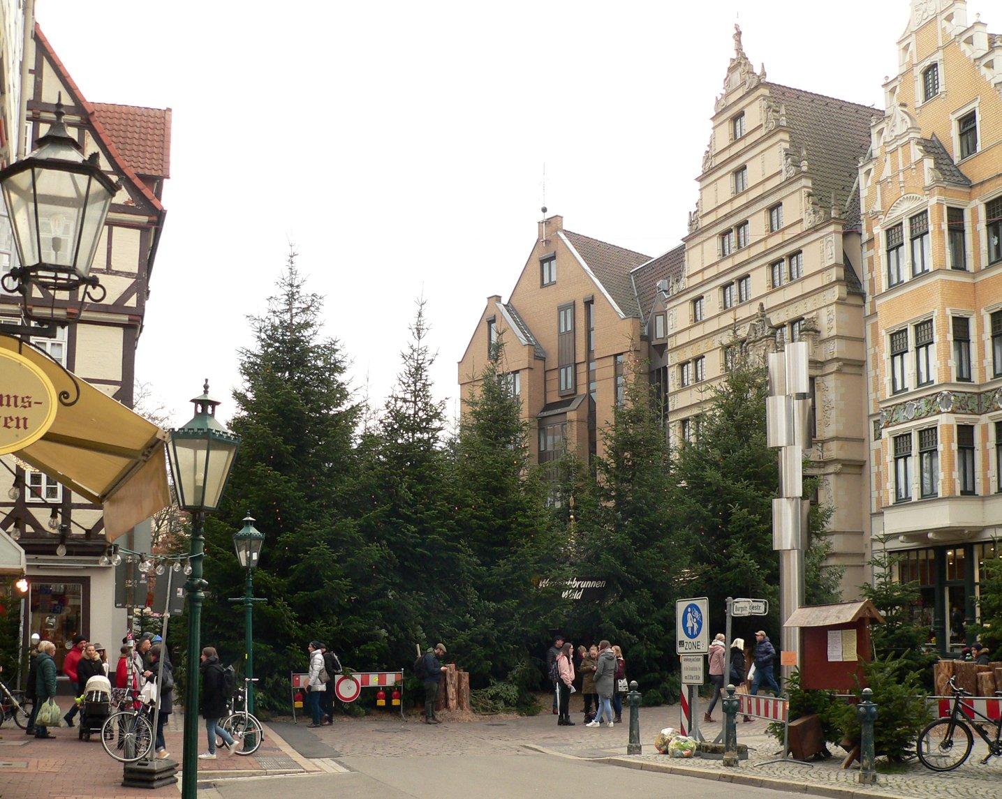 크리스마스 시즌 '소원 분수 숲'