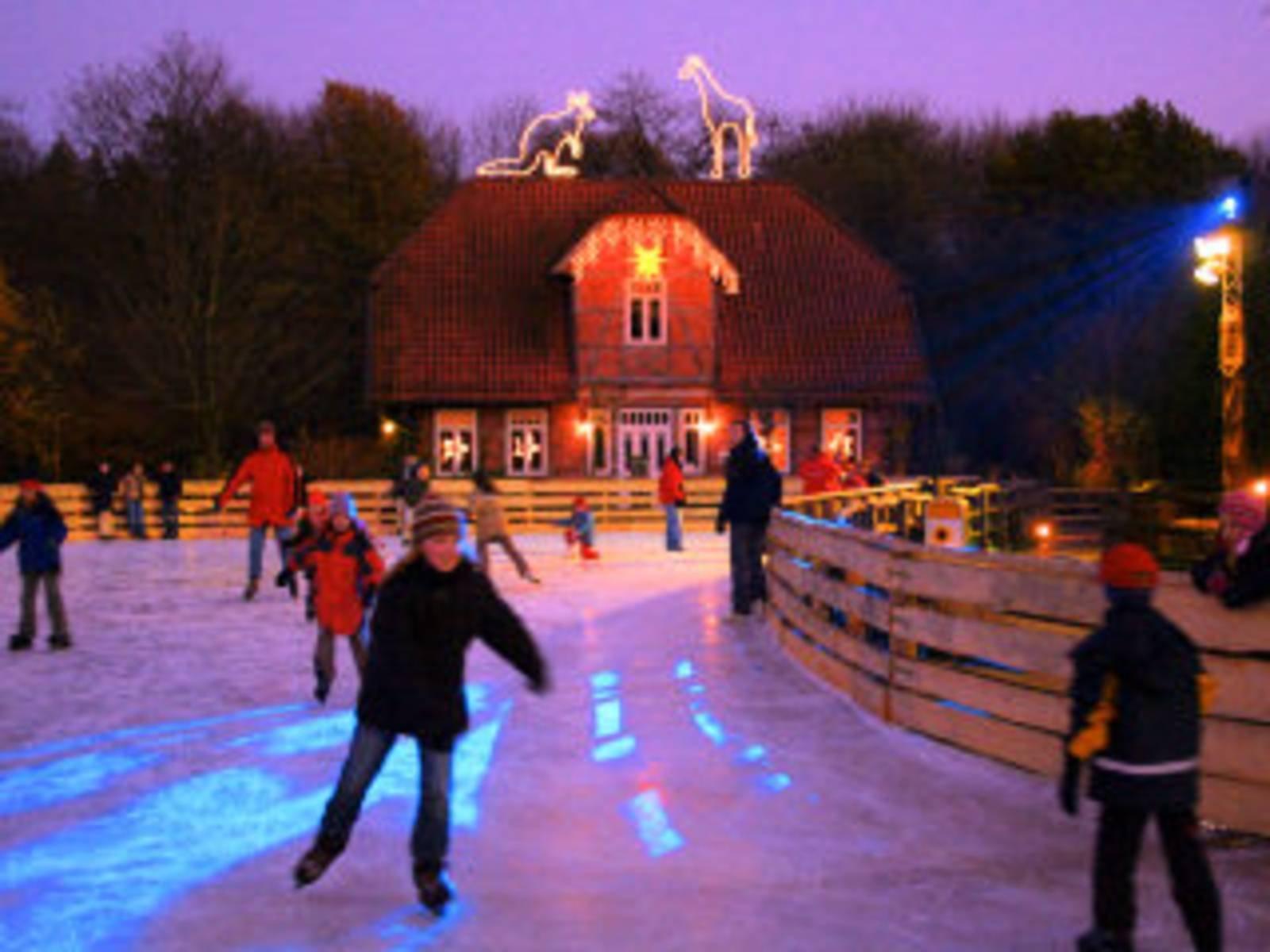 겨울 동물원의 크리스마스 장식과 조명