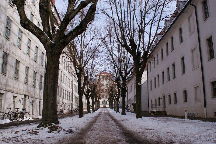 린덴호프 (Lindenhof)