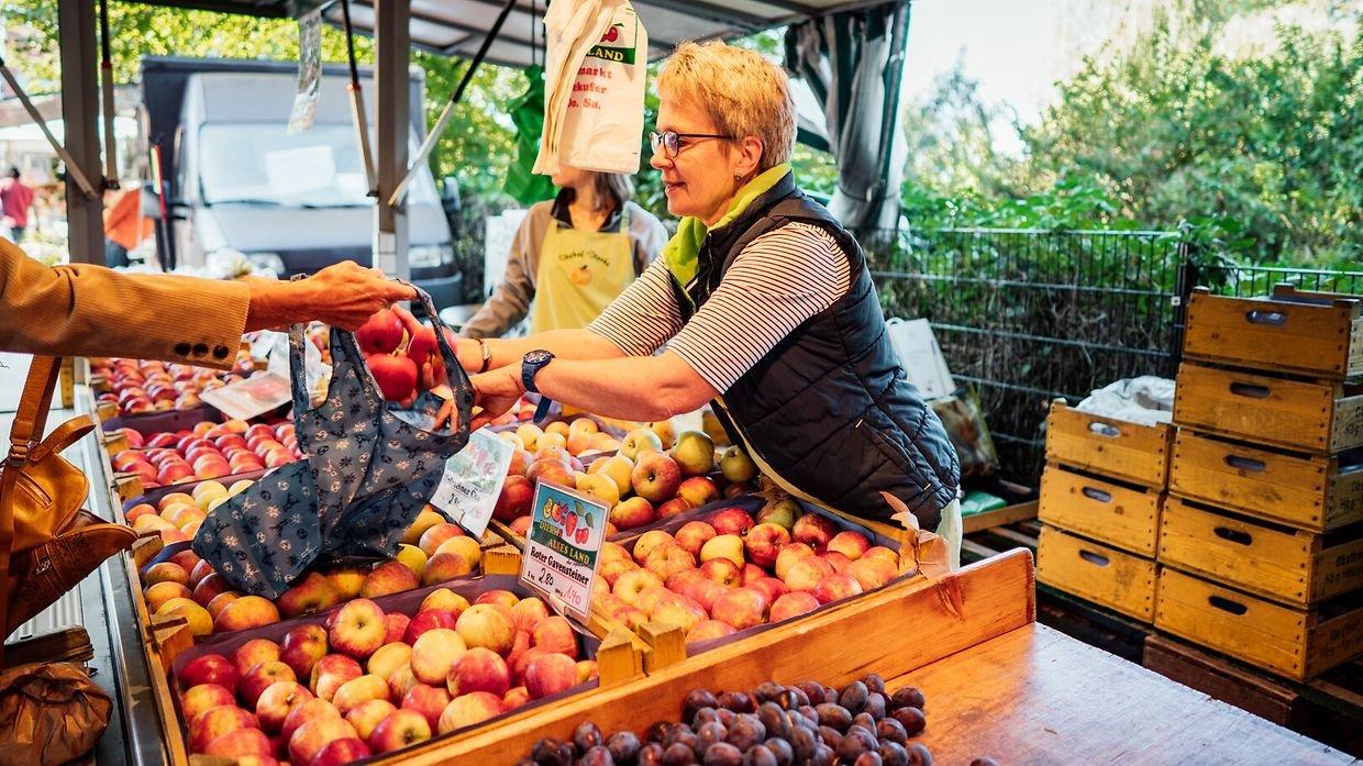 🛒 골드베쿠퍼 주간 시장(보헨마르크트 암 골트베쿠퍼)