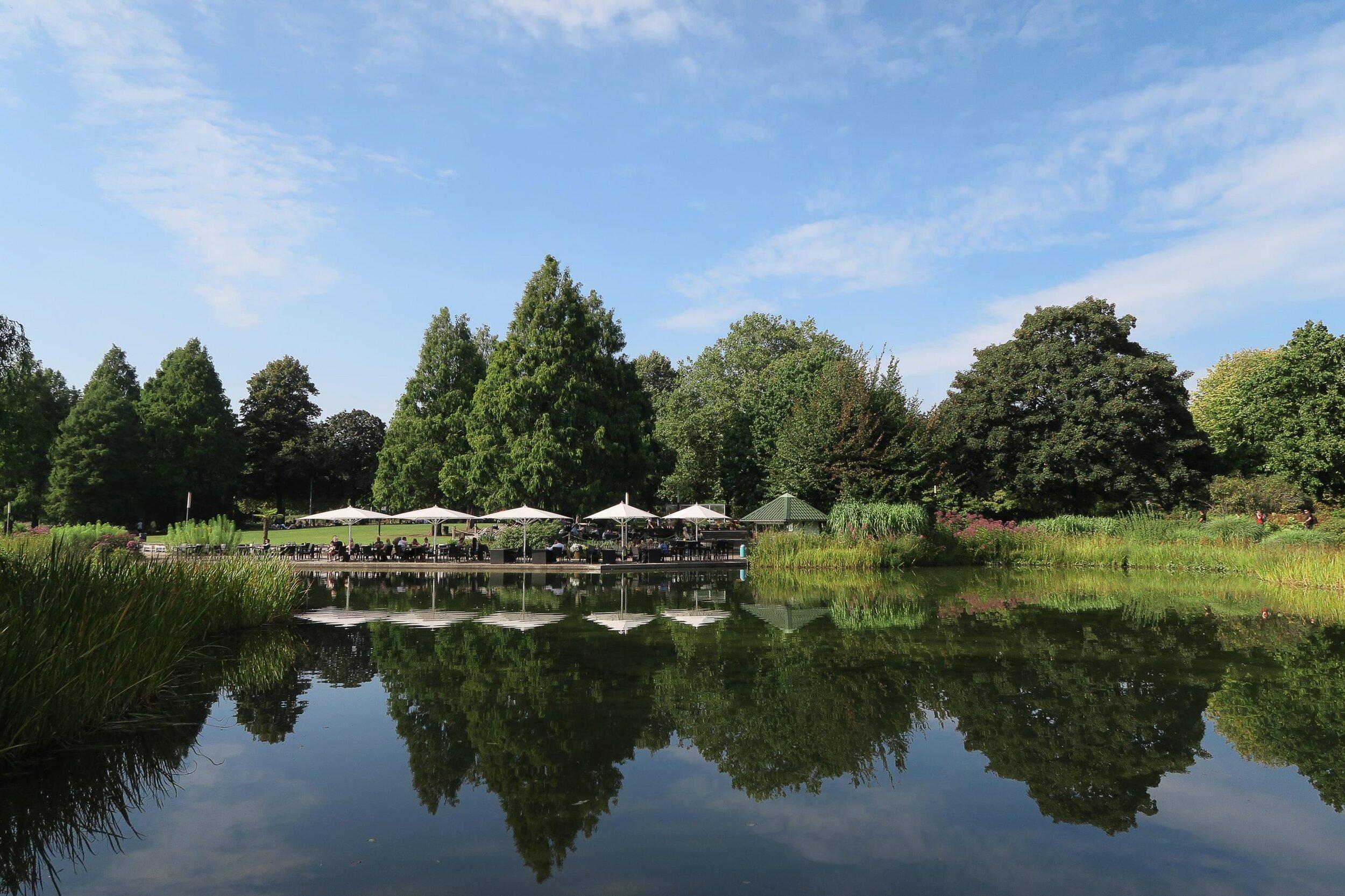 호숫가 (물-빛 콘서트 관람 지점)