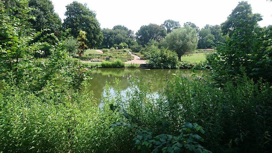 🌳 쿠어파르크 함 (Kurpark Hamm)