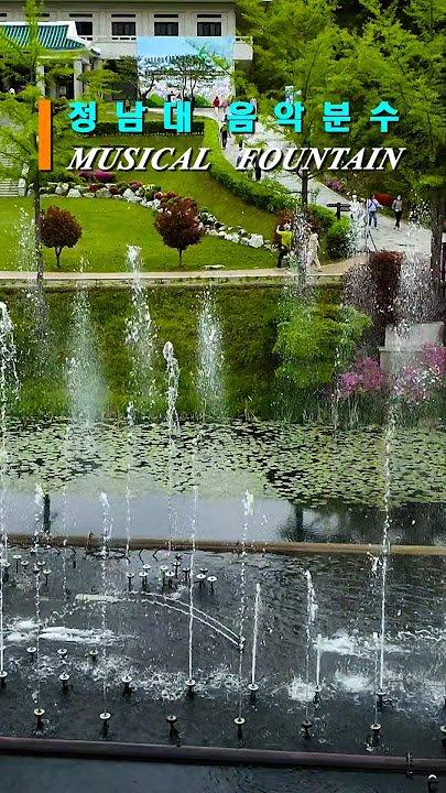 🎶 노래하는 분수 (포유쉬치 폰탄)