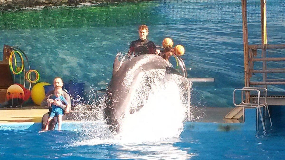 🐬 아나파 돌고래수족관 (네모)