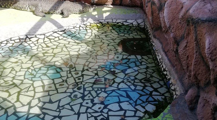 🐊 악어 농장 (크로코딜로바야 페르마)