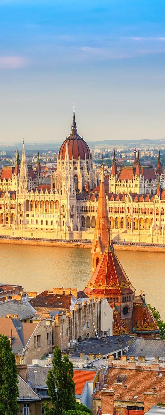 🏛️ 대학 광장 (피아차 우니베르시터치)