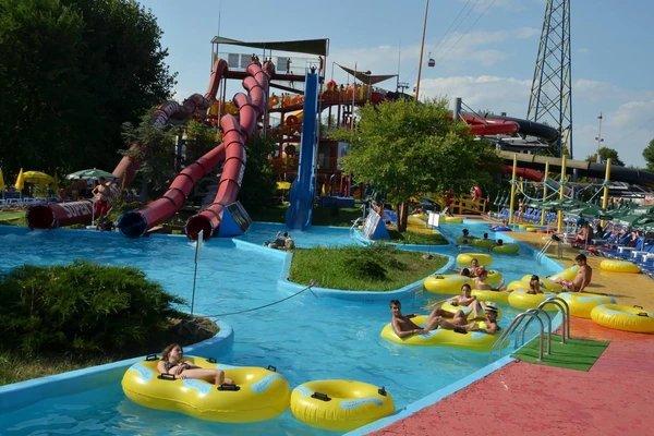 🌊 아쿠아 매직 마마이아