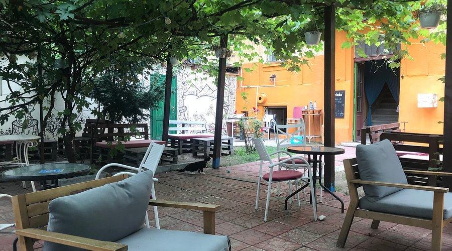 😻 고양이들 (라 피시치)