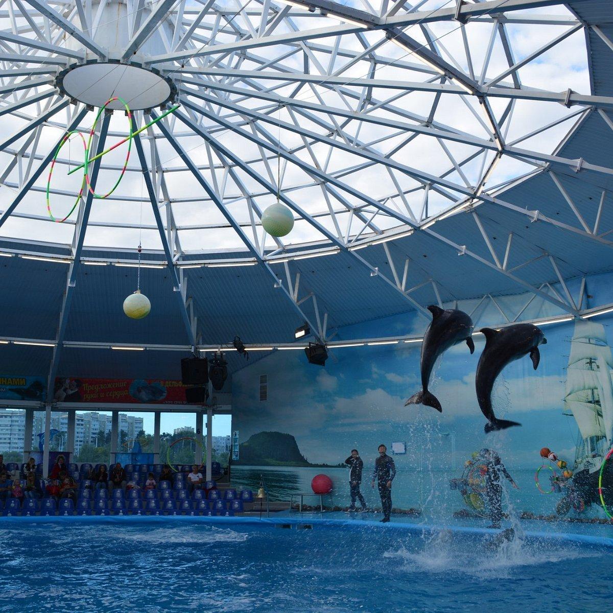 🐬 네모 돌고래수족관 (돌피나리움 네모)