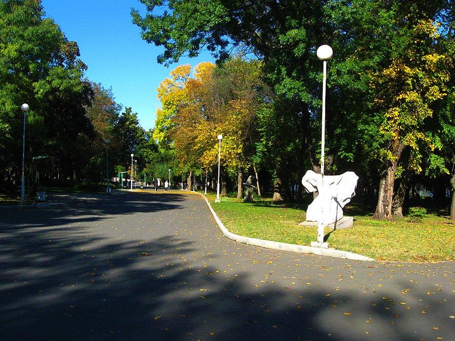 🌳 바다 정원 (모르스카 그라디나)