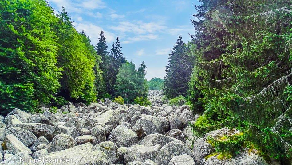 🏞️ 골든 브리지(즐라트니테 모스토베)