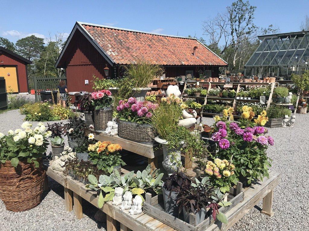 영국식 정원 내부