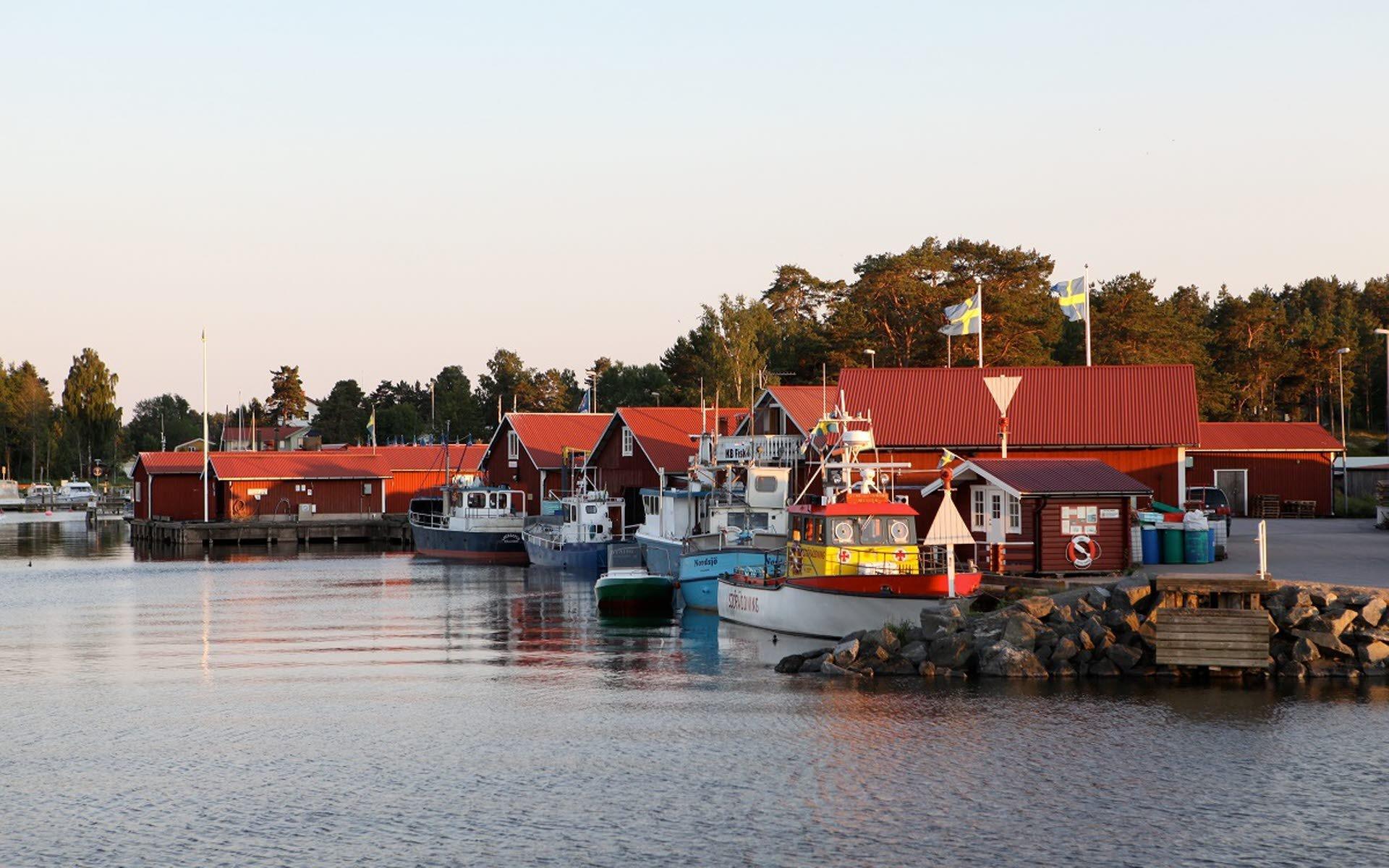 정박된 어선과 항구 전경