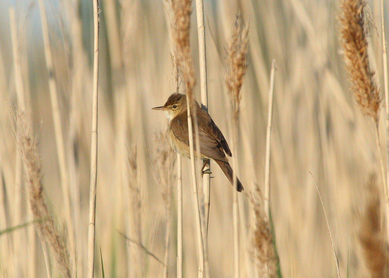 보호구역 내 주요 관찰 지점