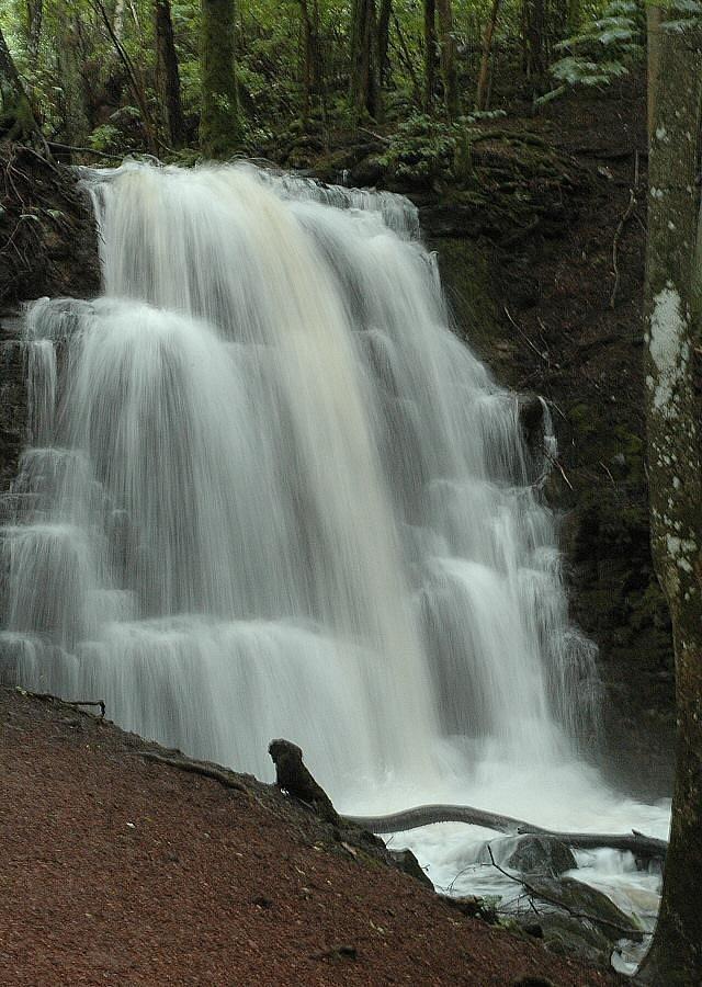 🏞️ 은 폭포(실버팔렛)