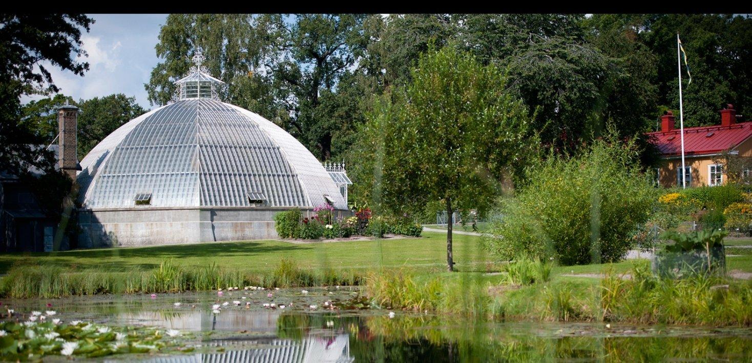 🌿 베르기우스 식물원(베르기안스카 트레드고르덴)