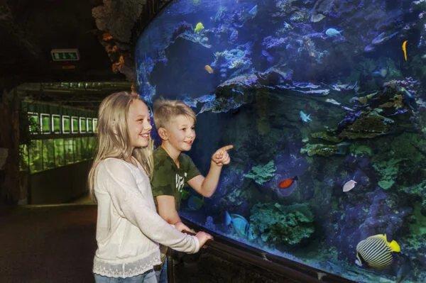 🐠 스칸센 아쿠아리움(Skansen-Akvariet)