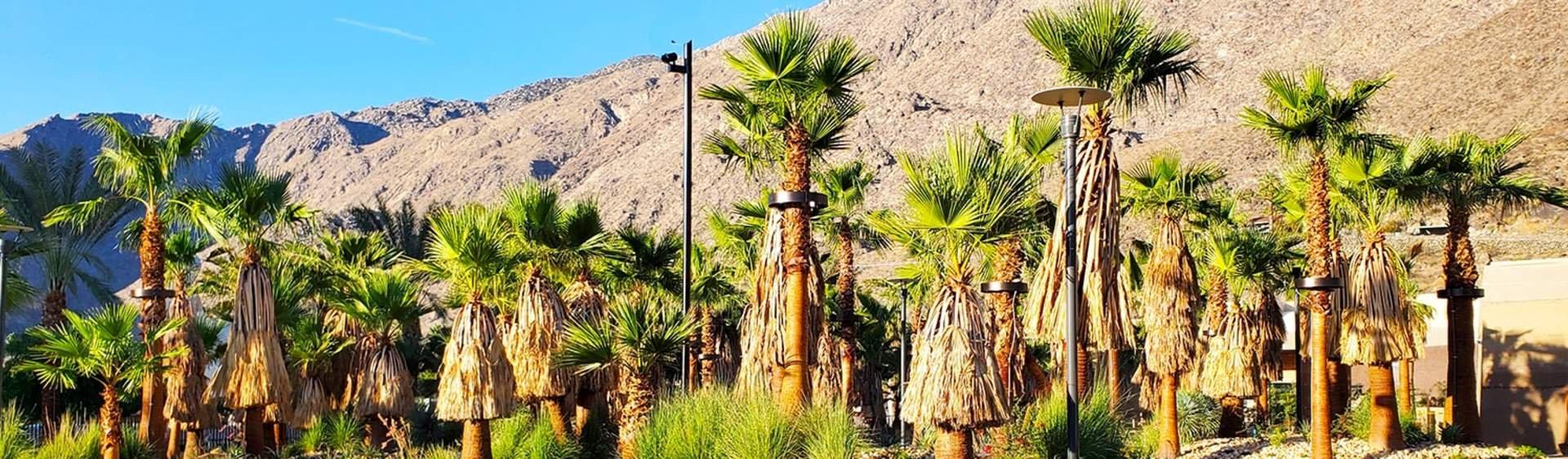 외레브로, 스웨덴