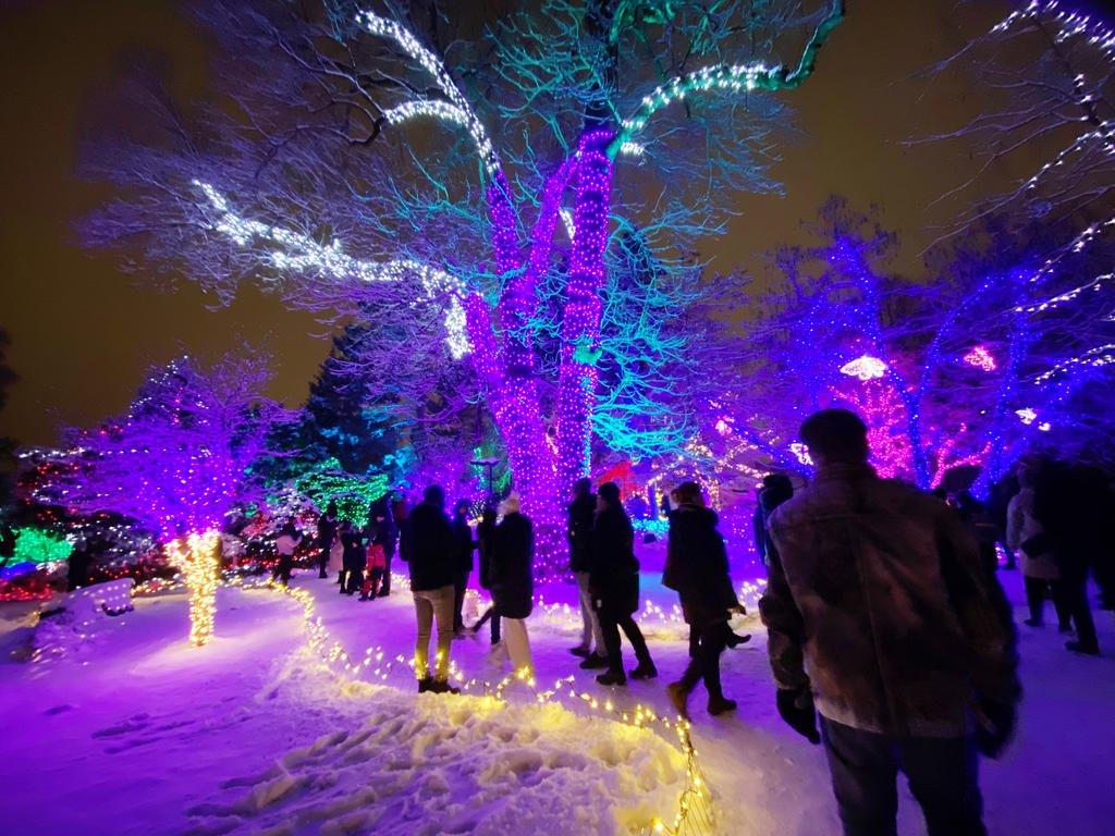 매직 포레스트의 화려한 조명