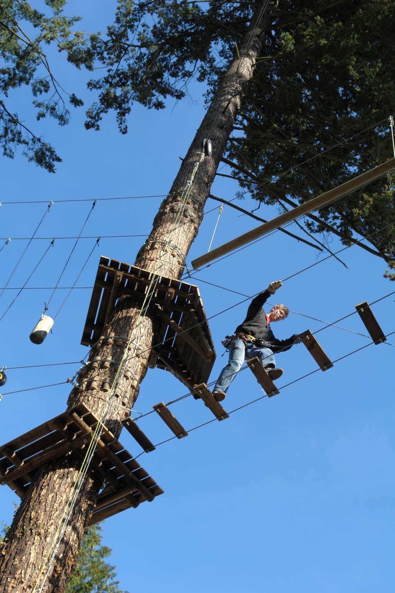 높은 로프 코스 위 플랫폼