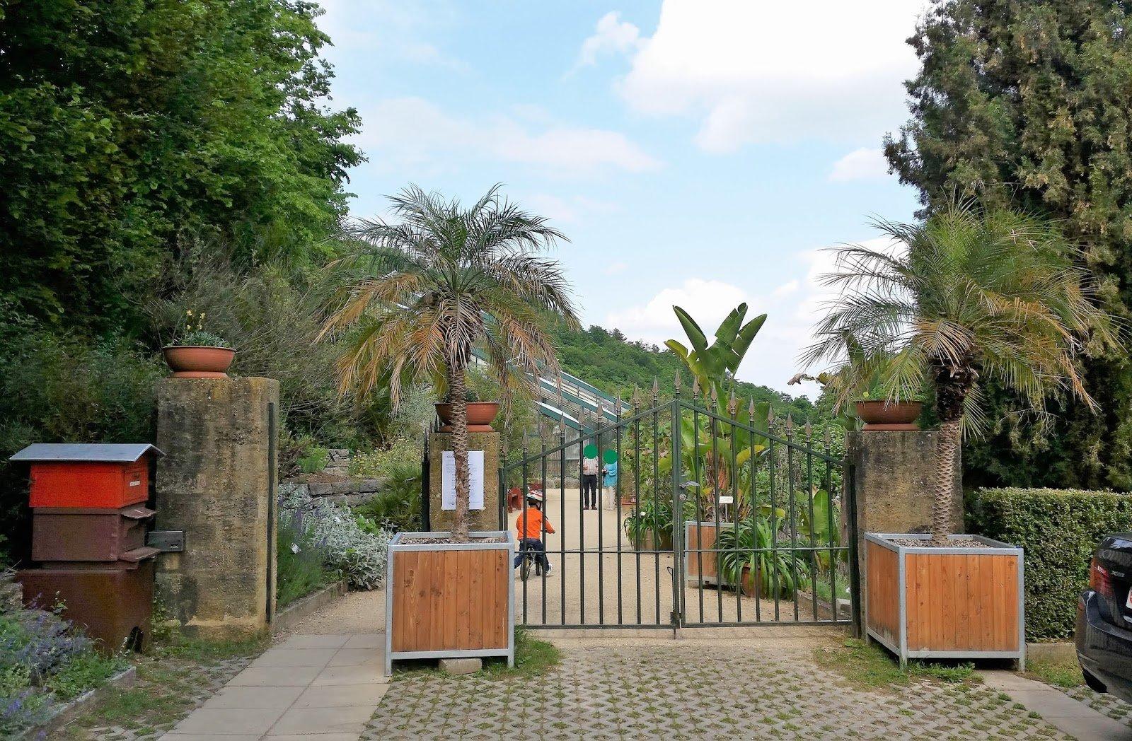 진화의 정원 (Jardin de l'Évolution)