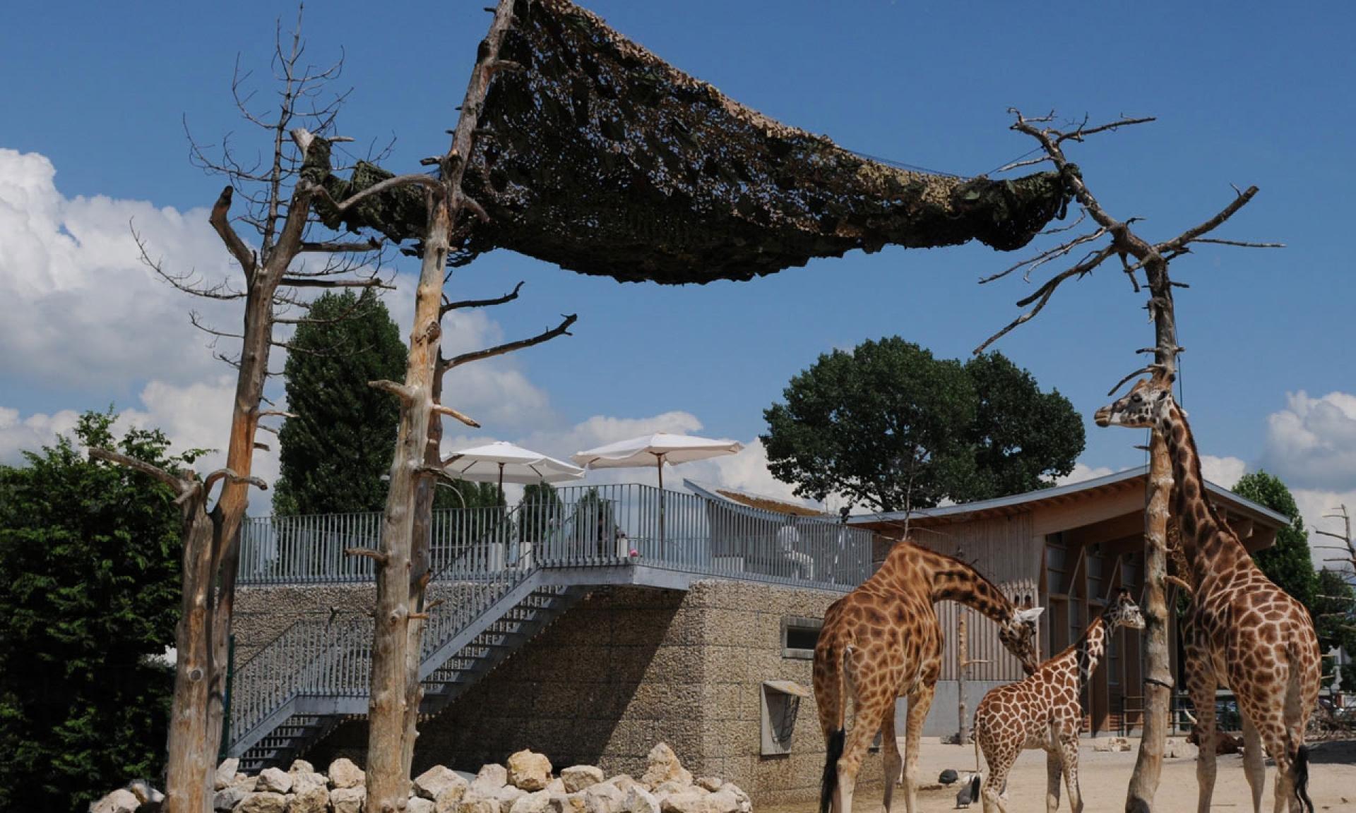 🐘 크니 어린이 동물원(크니스 킨더주)