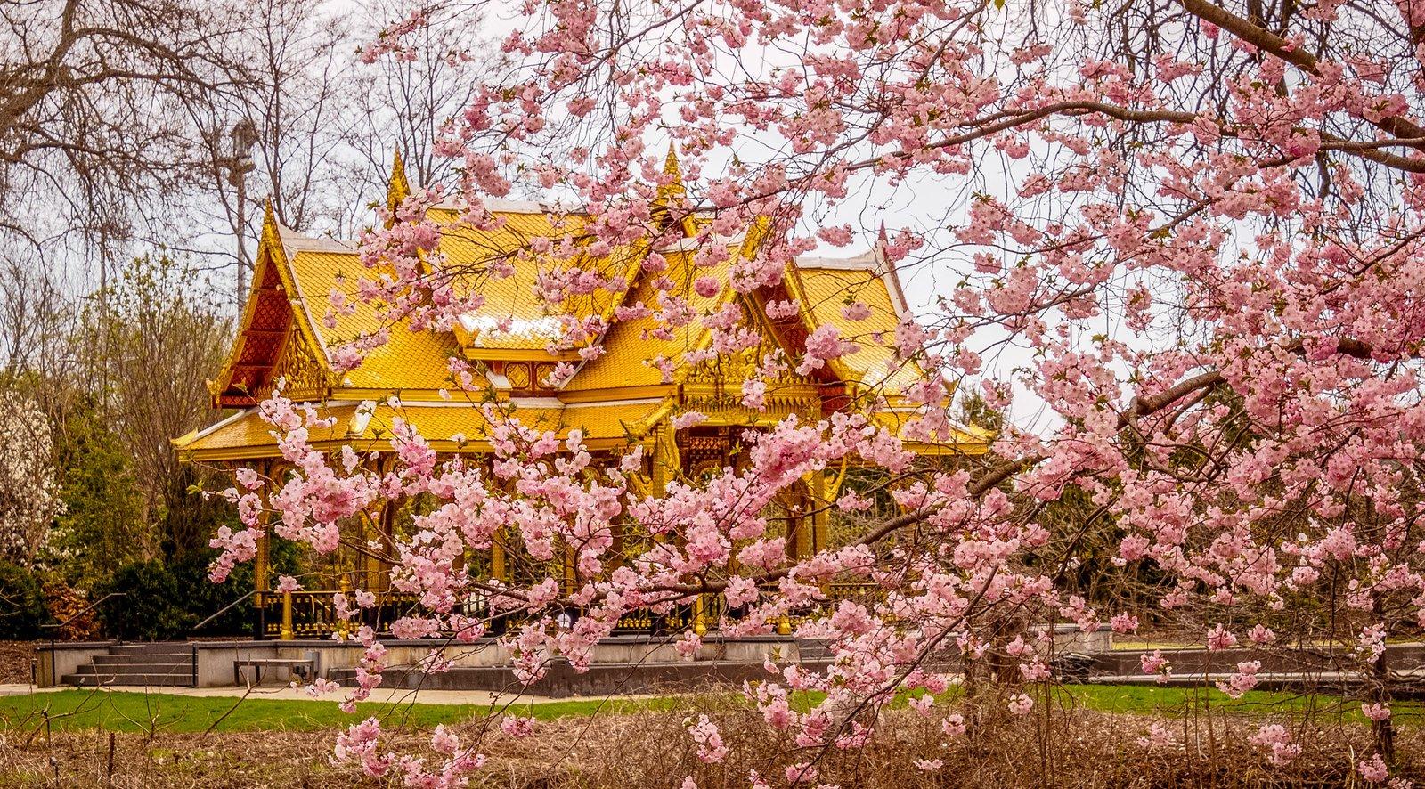 계절감을 살린 공원과 정자