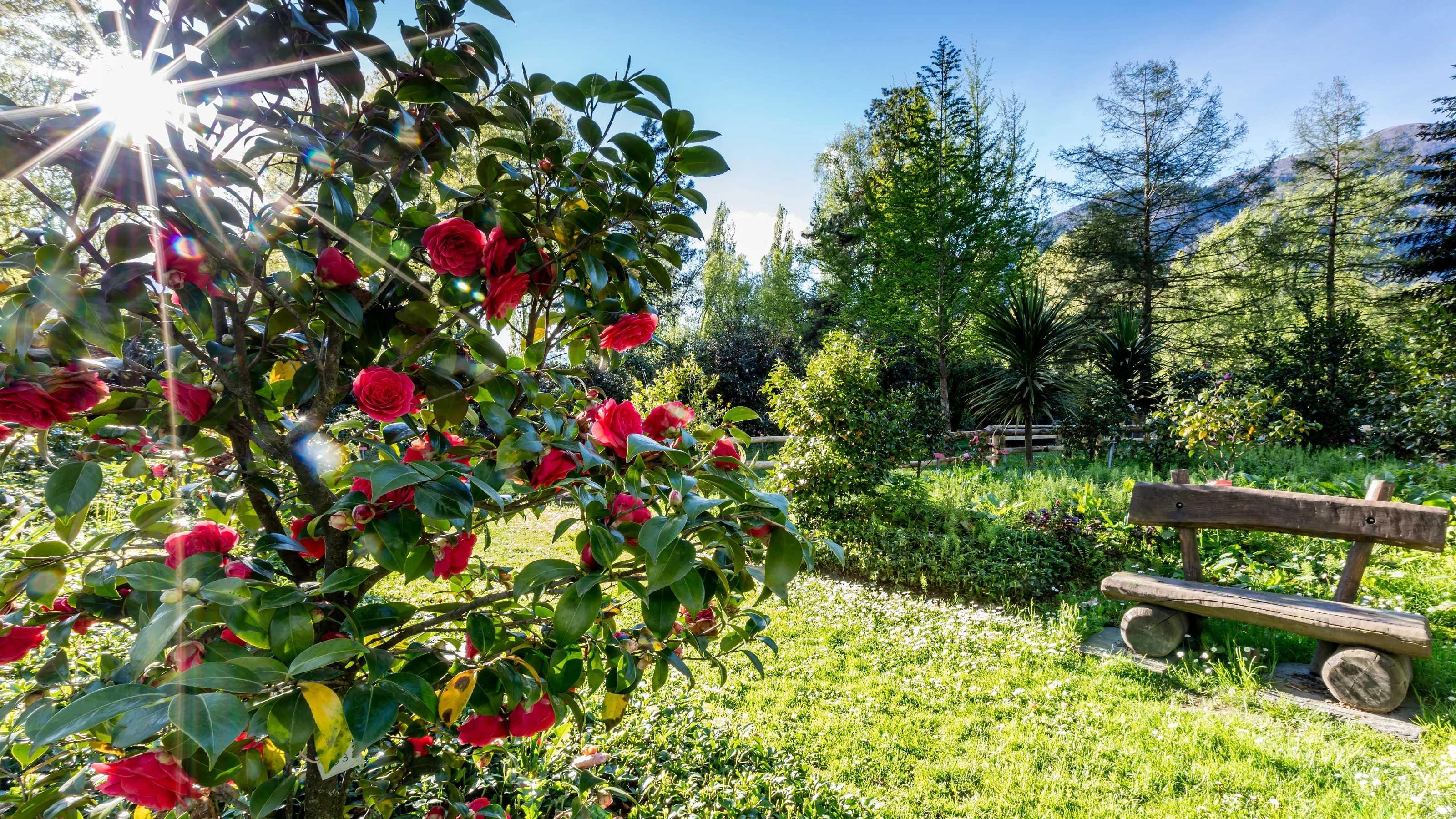 로카르노, 스위스