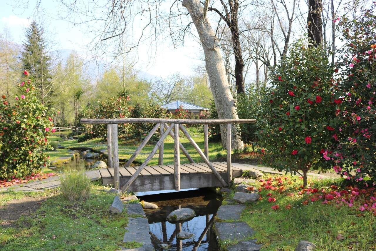 공원 내 작은 다리와 연못 주변