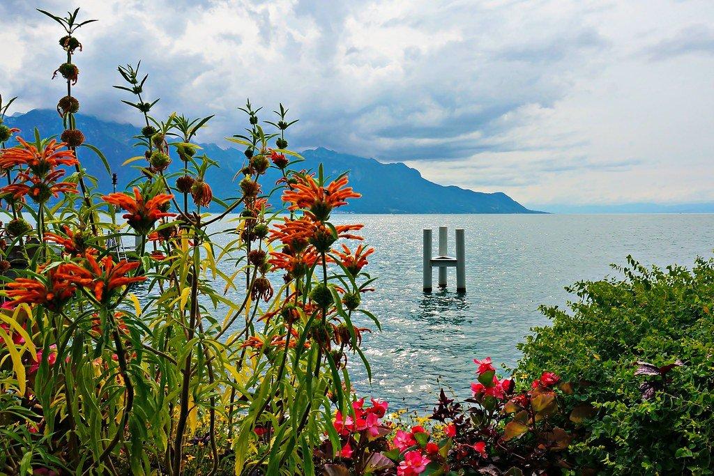 호숫가 꽃밭과 정원