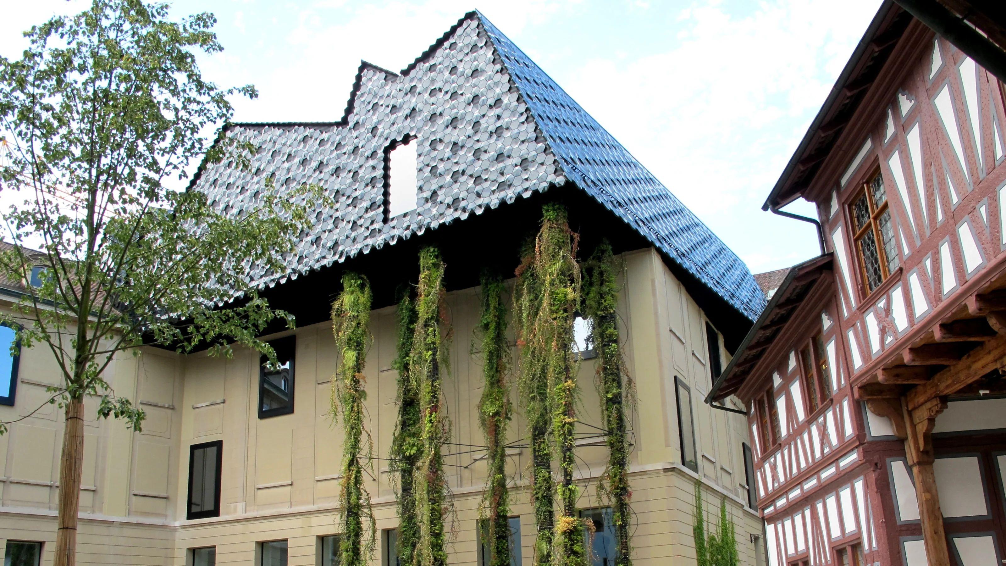 🏛️ 바젤 문화 박물관 (Museum der Kulturen Basel)