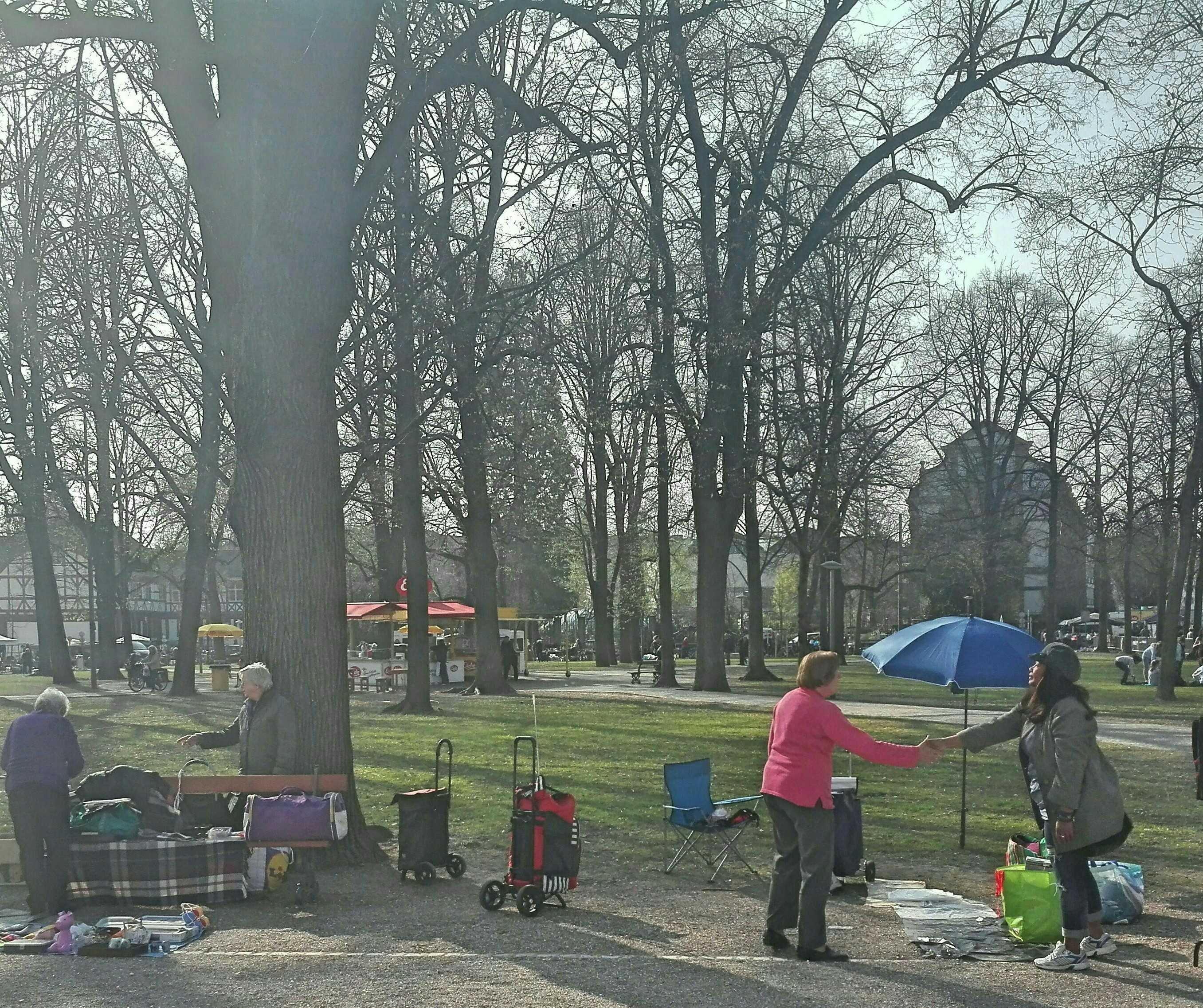 🌳 페터 광장 공원(외펜틀리허 파크 페터스플라츠)