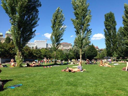 잔디밭에서의 여유로운 휴식