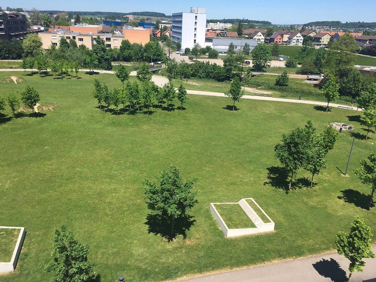 넓은 잔디밭과 하늘