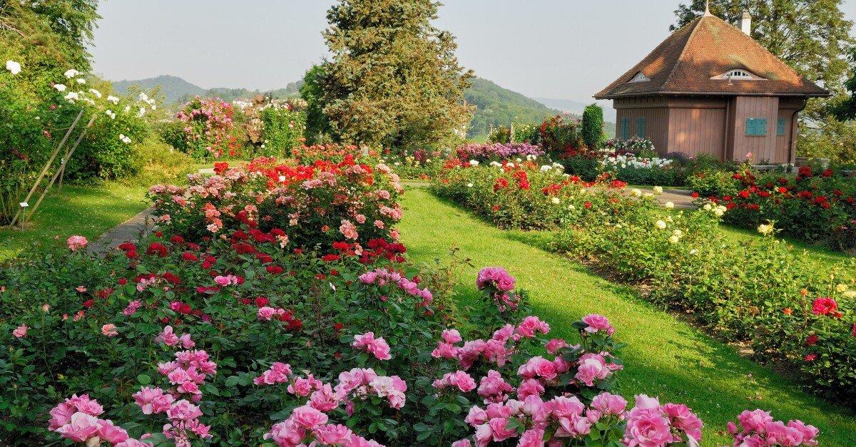 정원 중앙의 작은 집(티하우스)과 분수