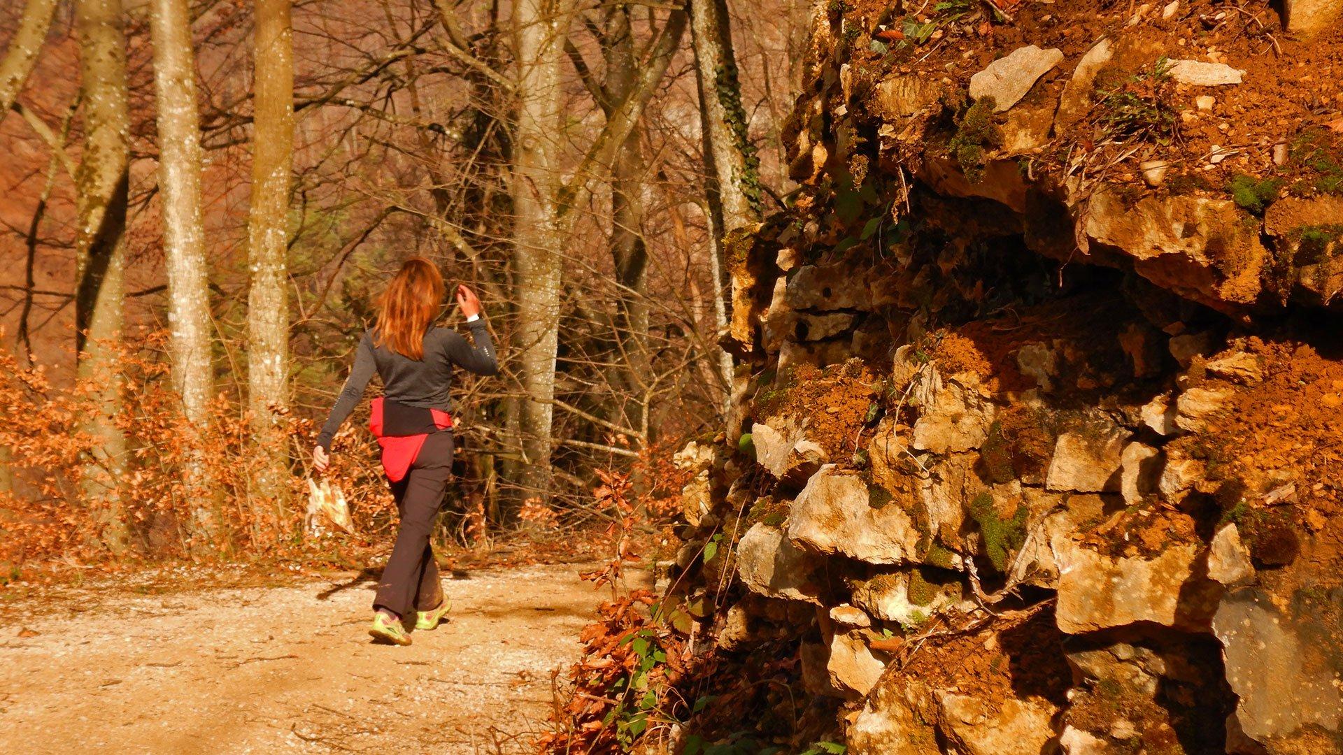 🏞️ 은둔자의 정원(에르미타주 아를레스하임)