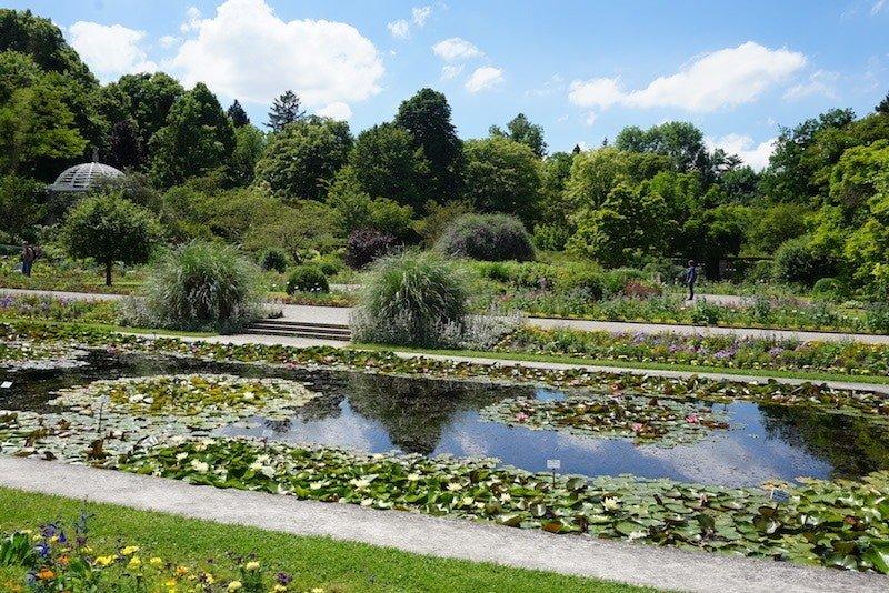 🌳 장크트갈렌 식물원 (보타니셔 가르텐 장크트갈렌)