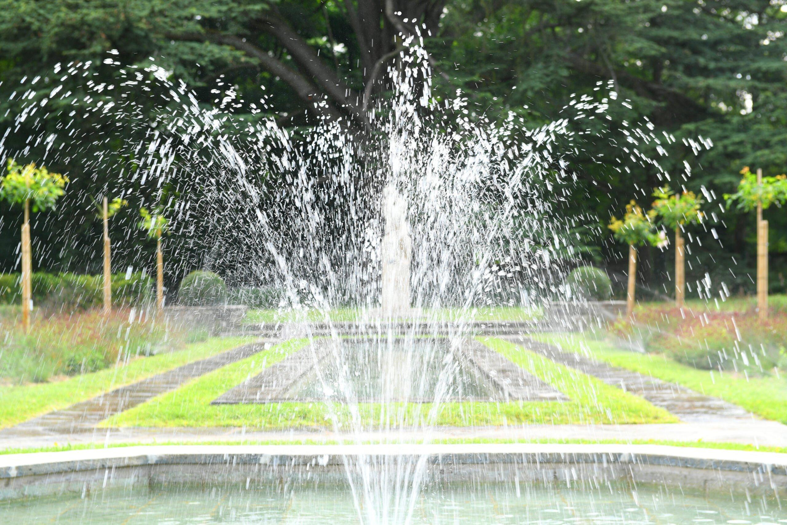장미 정원 아치 및 산책로
