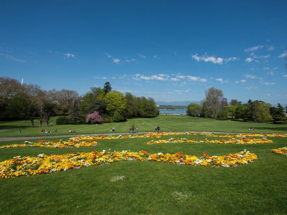 호수 전망 포인트 (벤치 또는 잔디밭)