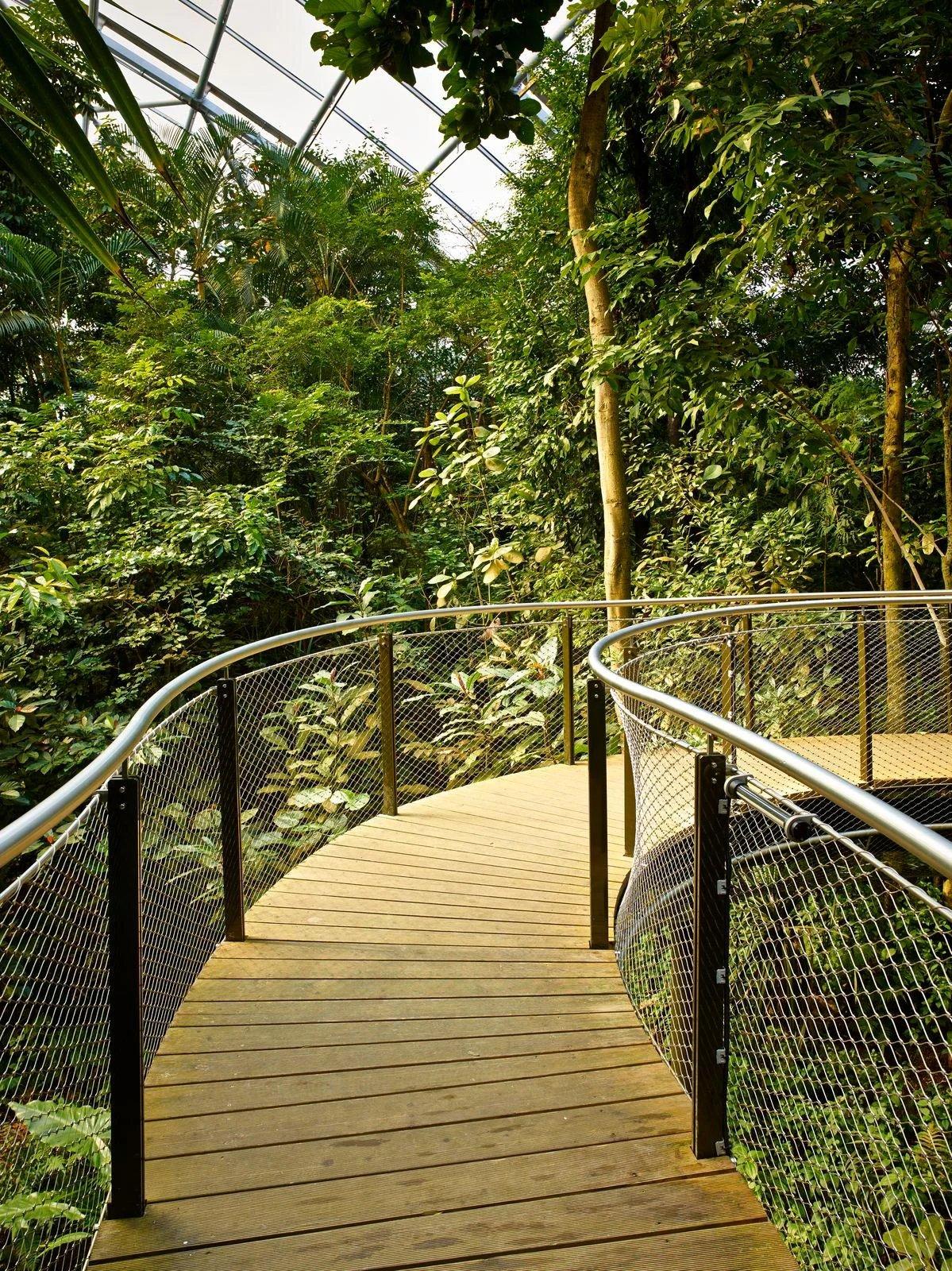 마소알라 열대우림관 캐노피 워크웨이